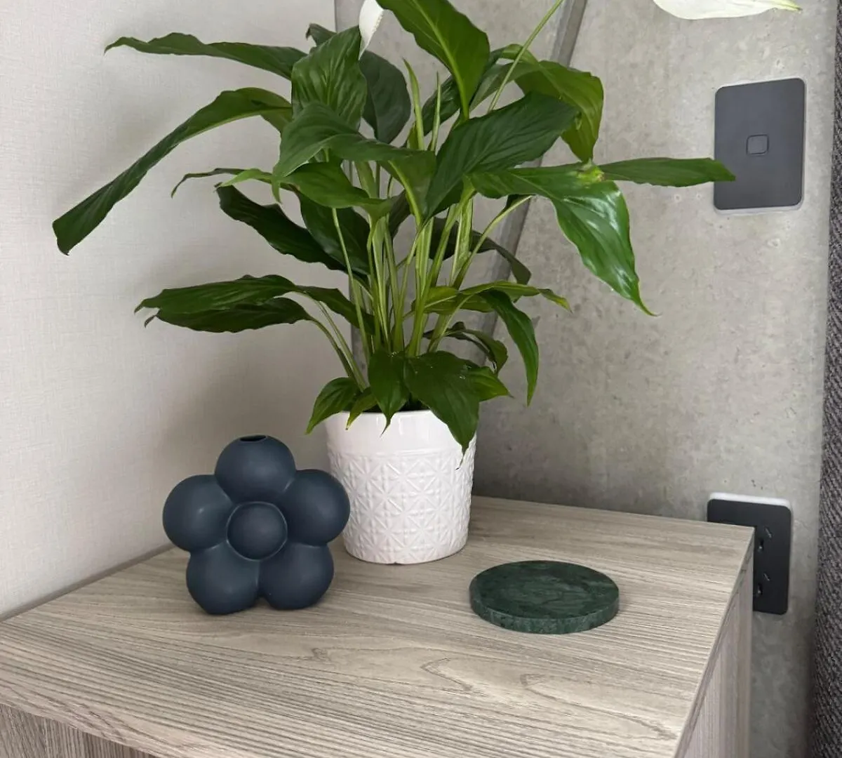 Whitewood Suites Apartment 1B Christchurch